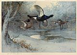 Archibald Thorburn Canvas Paintings - Blackcock Through the Silver Birches